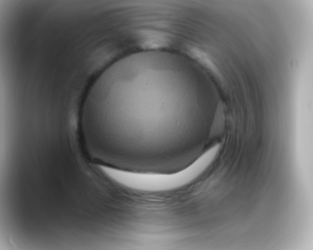 X0000088470539200706051344