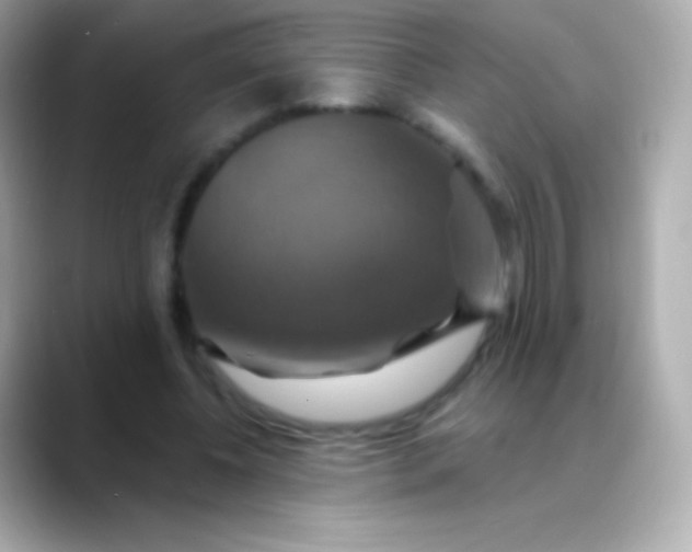 X0000088470540200706051344