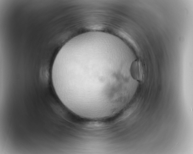 X0000088470541200706051344