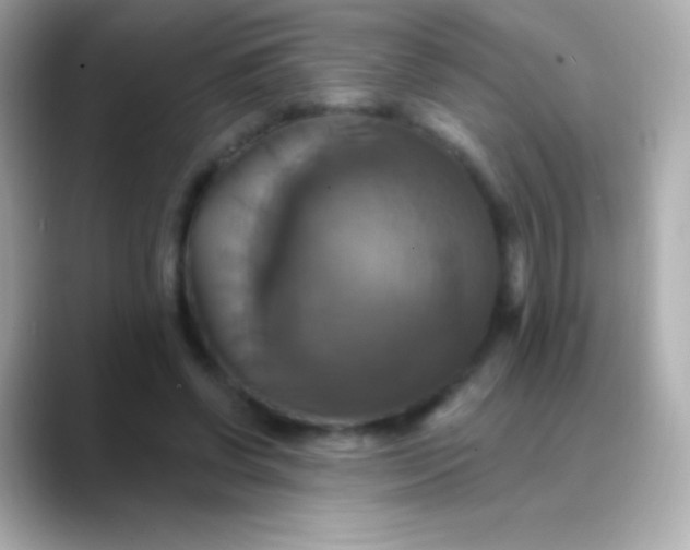 X0000088470542200706051344