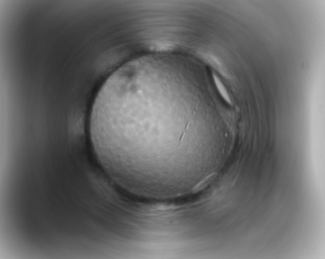 X0000088470543200706051344