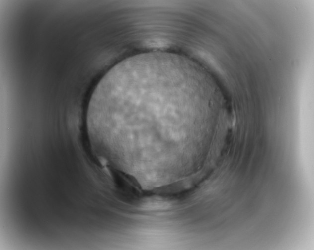 X0000088470544200706051344