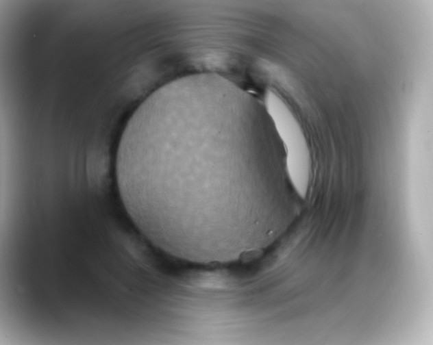 X0000088470548200706051344