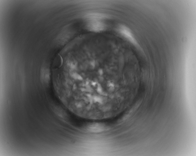 X0000088470549200706051344