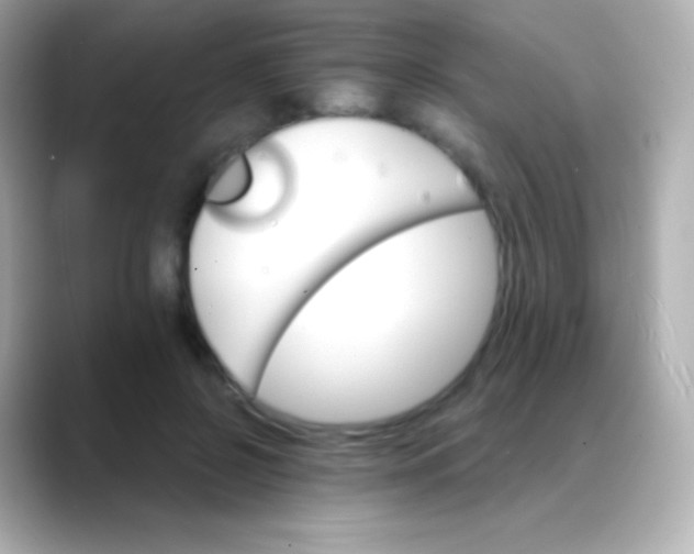 X0000088470550200706051344