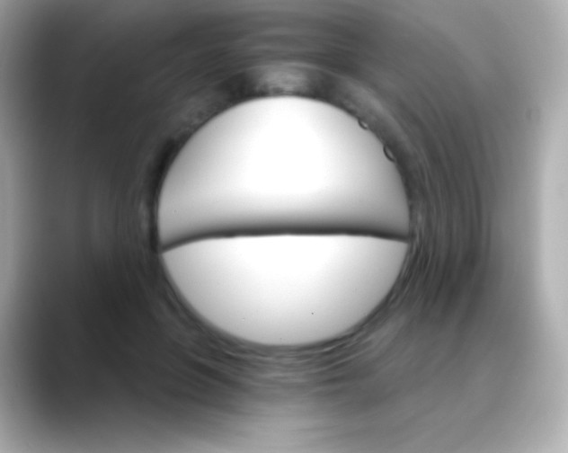 X0000088470551200706051344