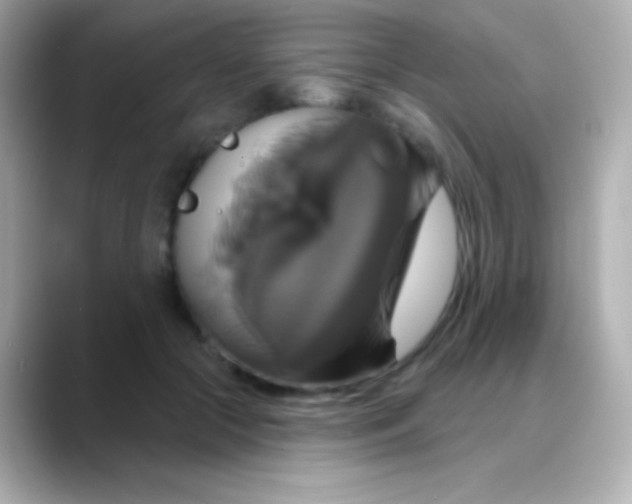 X0000088470553200706051344