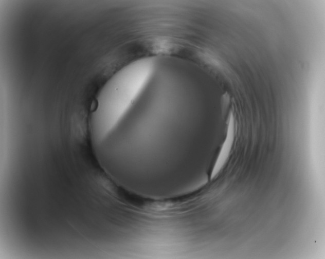 X0000088470554200706051344