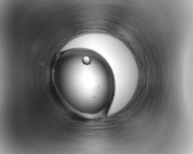 X0000088470556200706051344