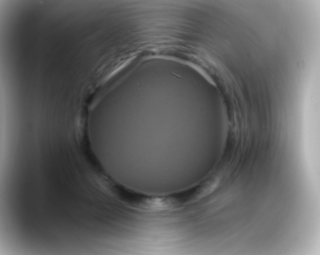 X0000088470558200706051344