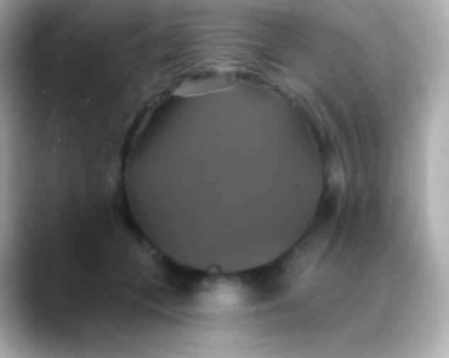 X0000088470559200706051344