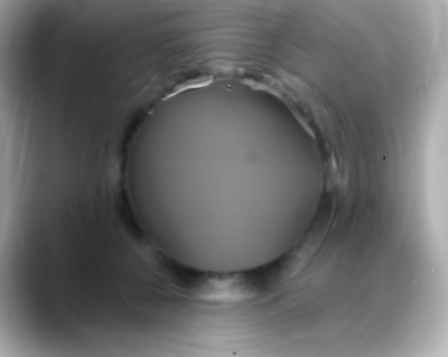 X0000088470560200706051344