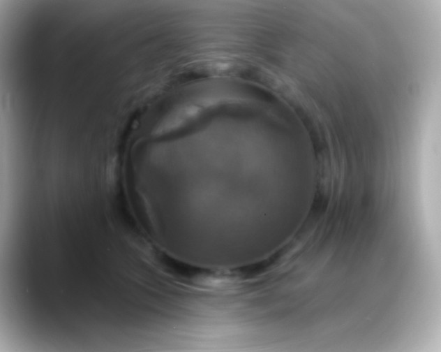 X0000088470563200706051344