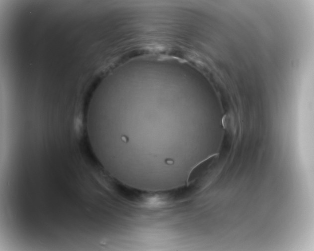 X0000088470564200706051344