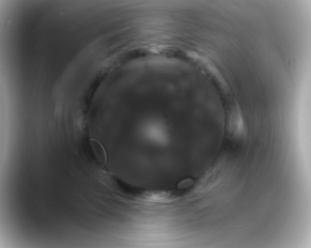 X0000088470569200706051344