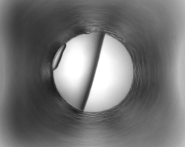 X0000088470570200706051344