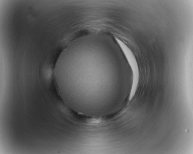 X0000088470574200706051345