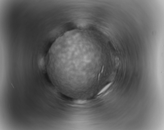 X0000088470575200706051345