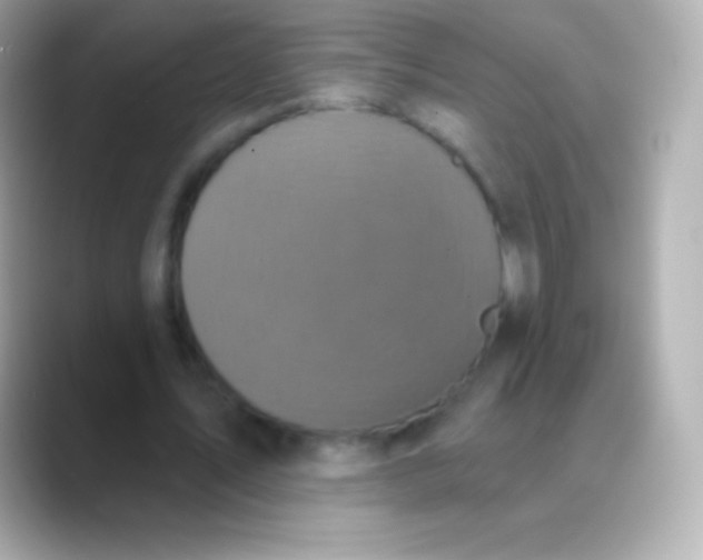 X0000088470579200706051344