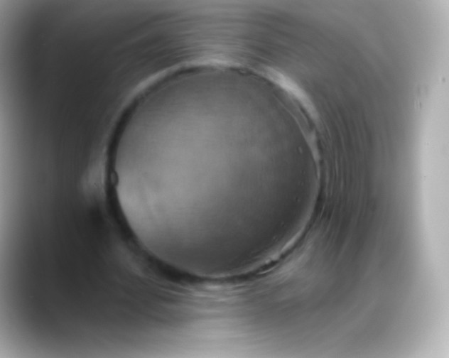 X0000088470580200706051344