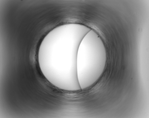 X0000088470582200706051344