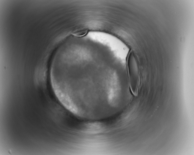 X0000088470583200706051344