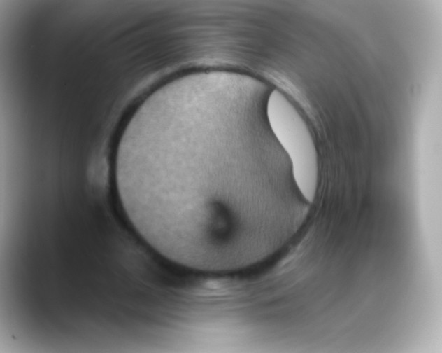 X0000088470584200706051344