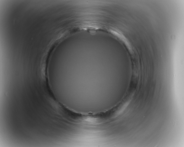 X0000088470585200706051344