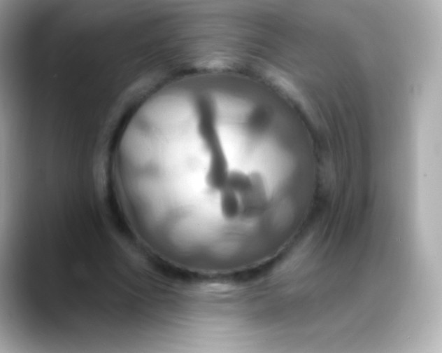 X0000088470586200706051344