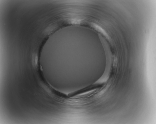 X0000088470589200706051344