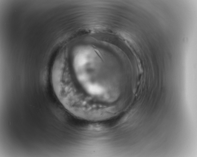 X0000088470591200706051344