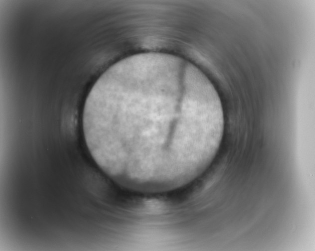 X0000088470592200706051344