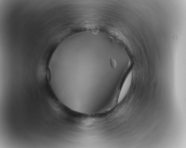 X0000088470593200706051344