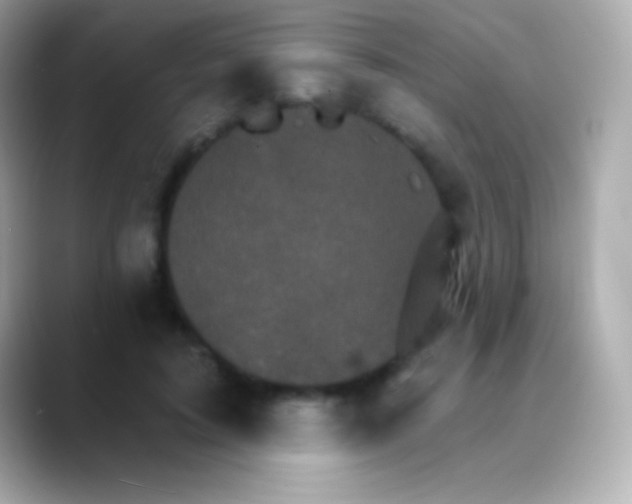 X0000088470595200706051344