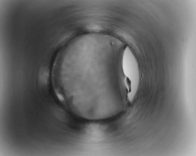 X0000088470596200706051344