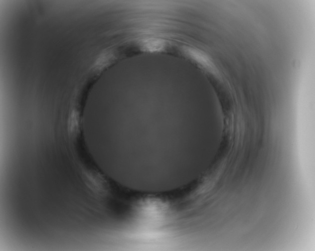 X0000088470598200706051344