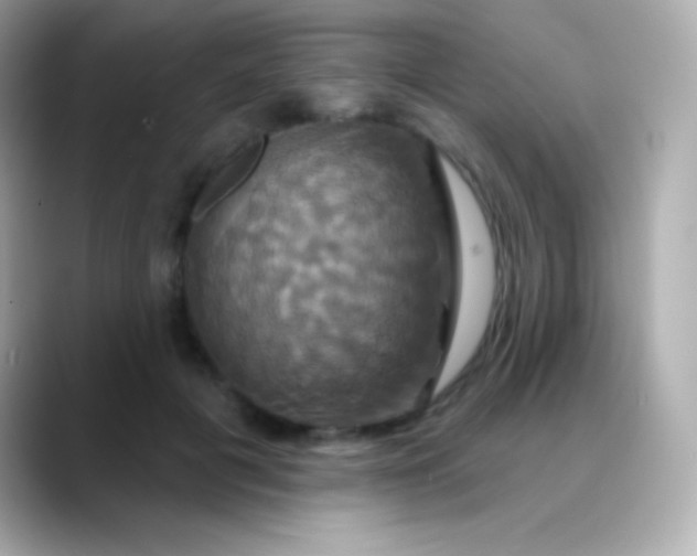 X0000088470601200706051344