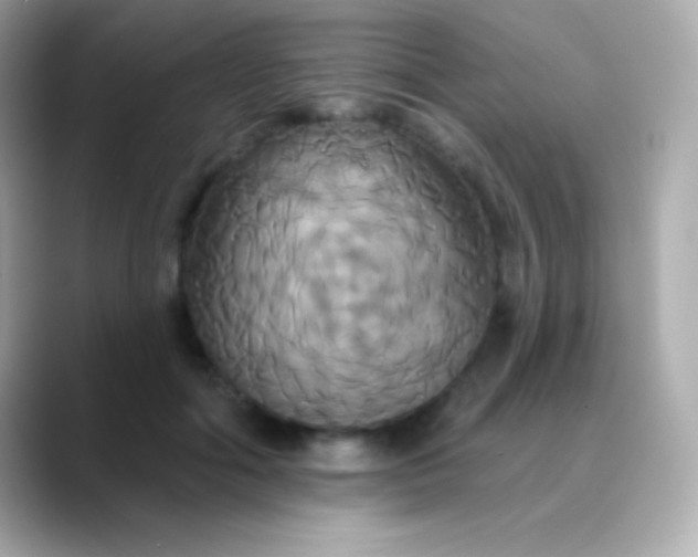 X0000088470602200706051344