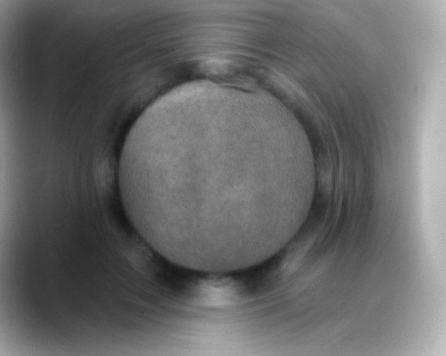 X0000088470603200706051344