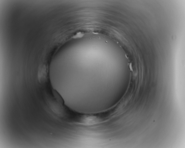 X0000088470605200706051344