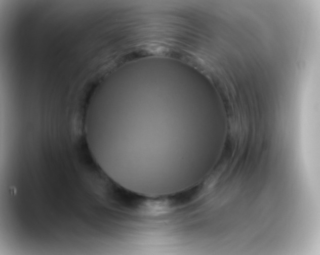 X0000088470606200706051344