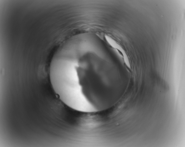 X0000088470607200706051344