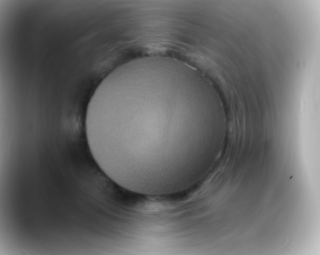 X0000088470608200706051344