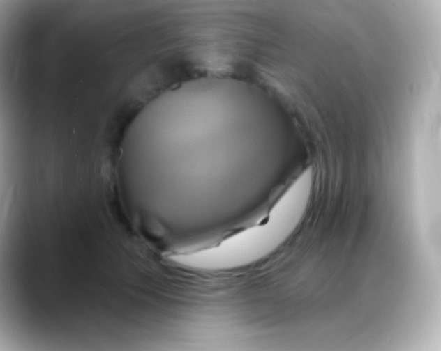 X0000088470609200706051344