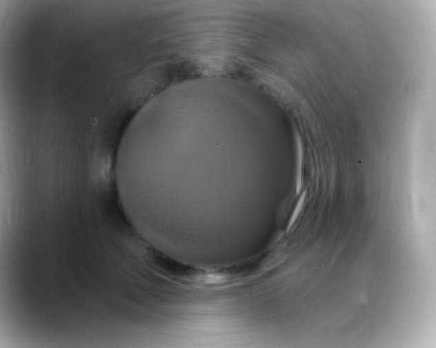 X0000088470610200706051344