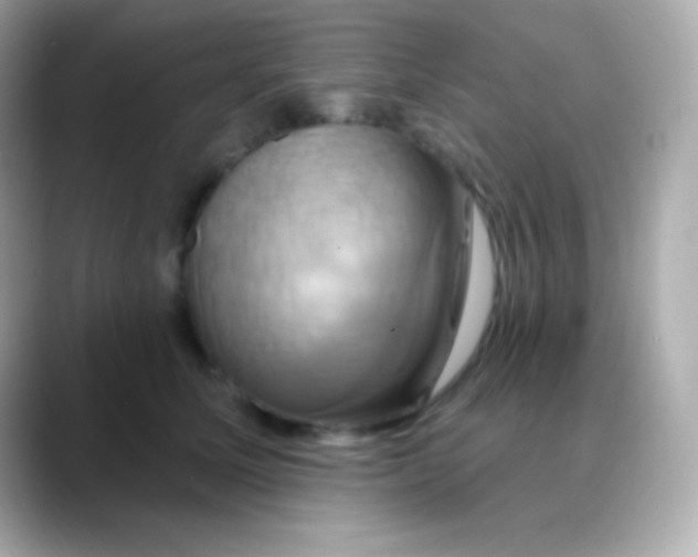 X0000088470611200706051344