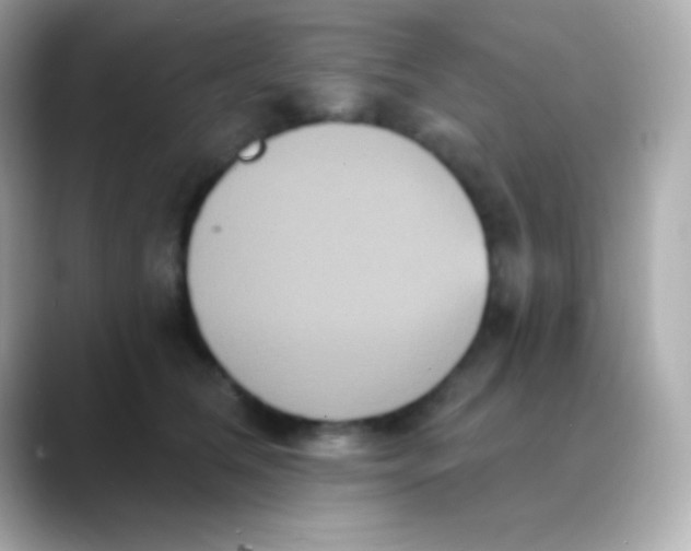 X0000088470612200706051344