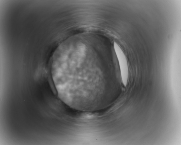 X0000088470613200706051344