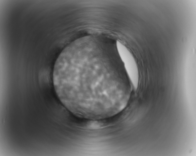 X0000088470616200706051344