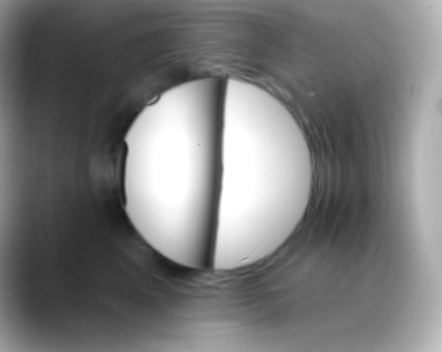 X0000088470617200706051344